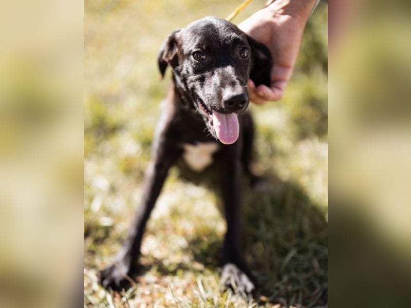 Paula ❤️ liebe, aktive, junge Zuckermaus!