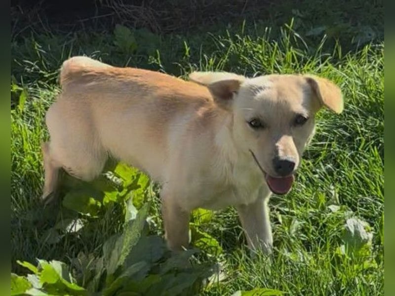 Mira ❤️ fröhlicher, lieber Sonnenschein! Mira ❤️ fröhlicher, lieber Sonnenschein!