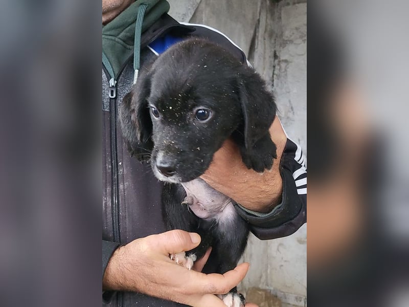 Elino ❤️ freundlicher, offener junger Bub