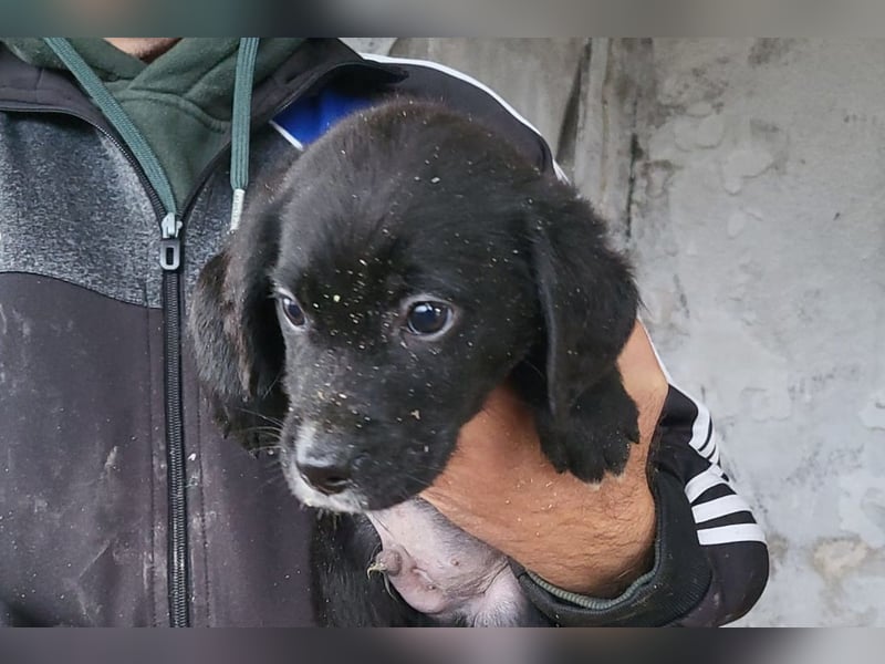 Elino ❤️ freundlicher, offener junger Bub