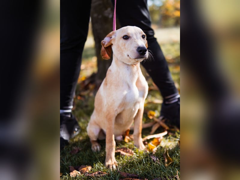 Hachiko ❤️ so lebensfroh und aktiv!