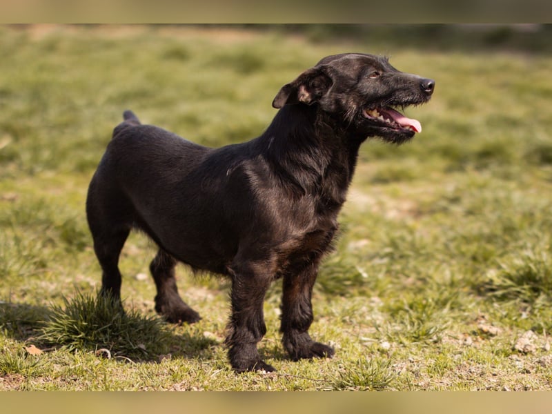 Fröhliche,kleine ♥Greta♥ zart,aber aktiv
