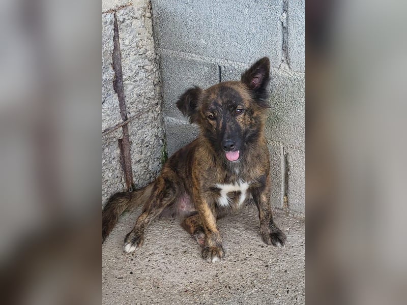 JULE❤️sanft, liebevoll und voller Zuneigung & Liebe