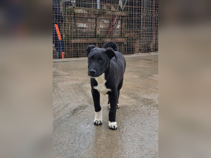 ♥Julius♥ junger Entdeckerbub sucht dich