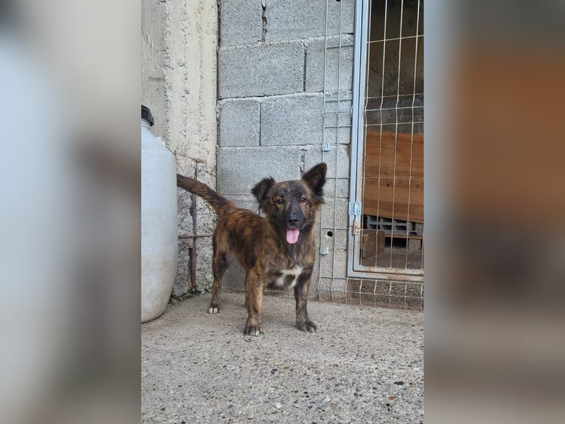 JULE❤️sanft, liebevoll und voller Zuneigung & Liebe