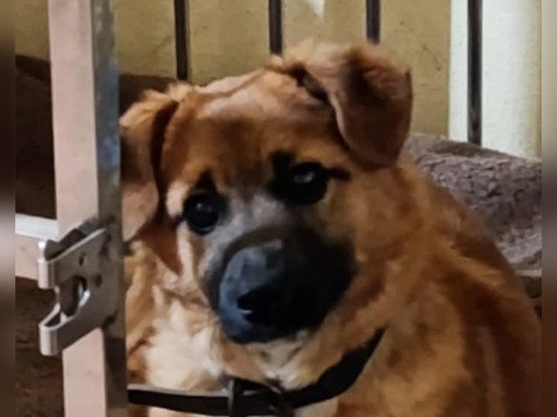 Süße kleine ♥Mihajela♥ sucht so sehr Geborgenheit