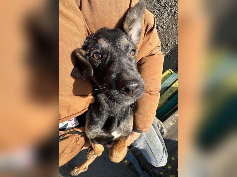 Liebste junge ♥Luna♥ erobert jedes Herz