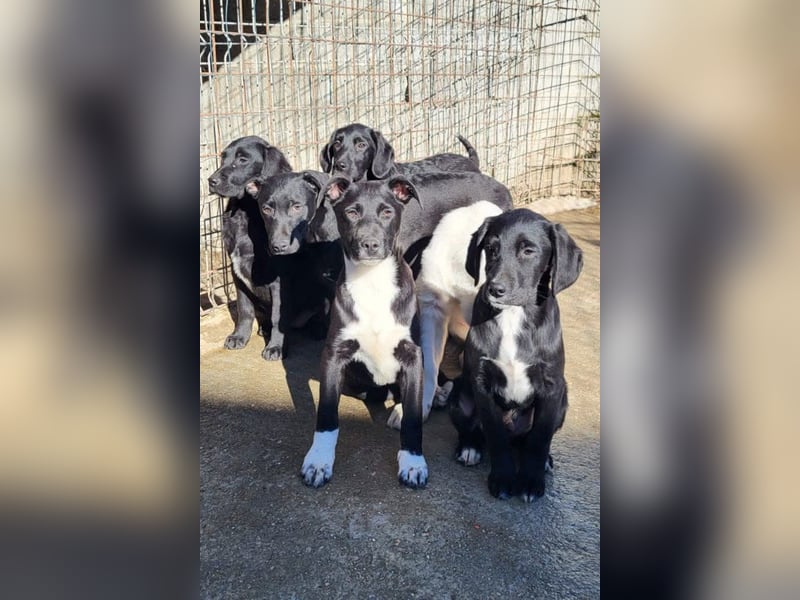 ♥ Julius ♥ junger Entdeckerbub sucht dich