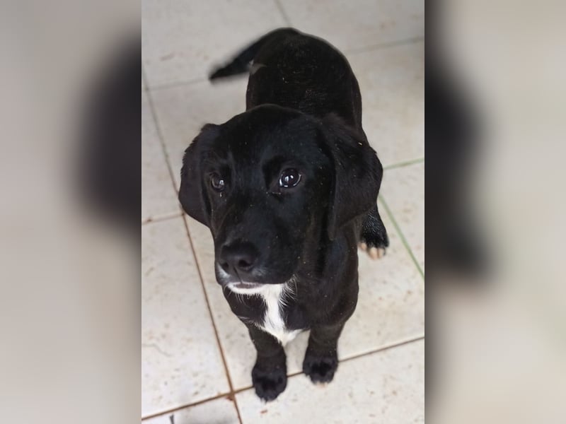 Elino ❤️ freundlicher, offener junger Bub