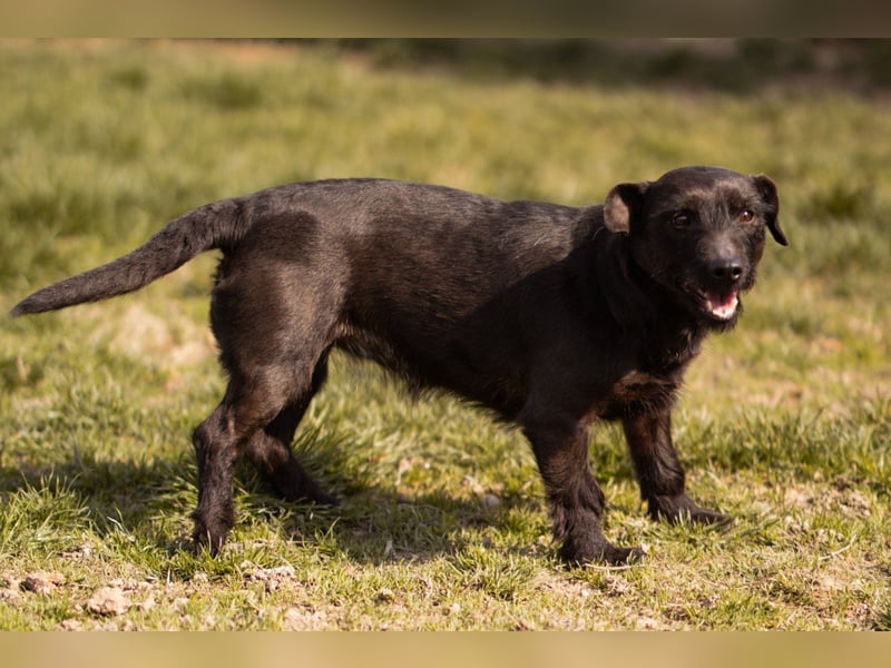 Fröhliche, kleine Greta zart, aber aktiv