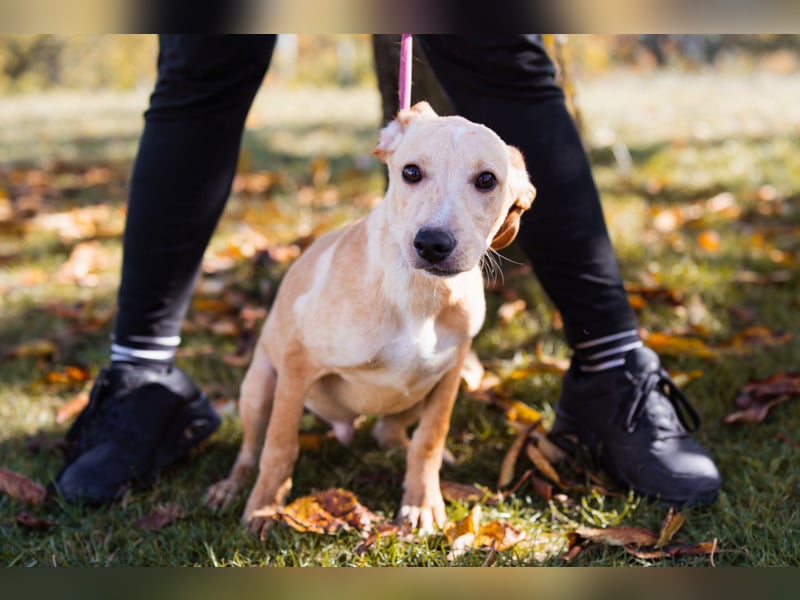 Hachiko ❤️ so lebensfroh und aktiv!