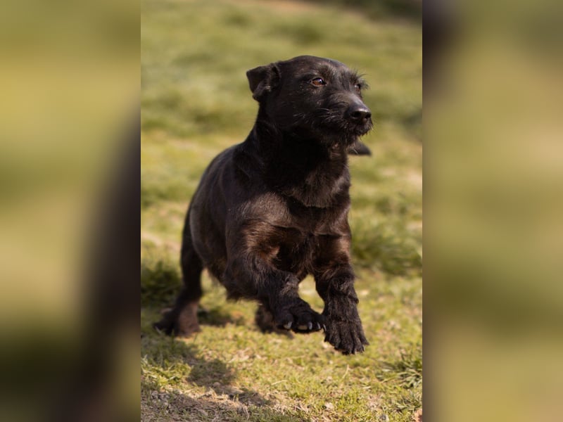 Fröhliche, kleine Greta zart, aber aktiv
