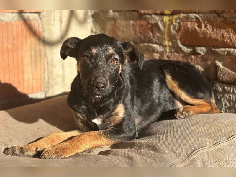 Liebste junge ♥Luna♥ erobert jedes Herz