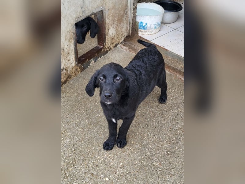 Haru ❤️ so lieber, aufgeschlossener Bub!