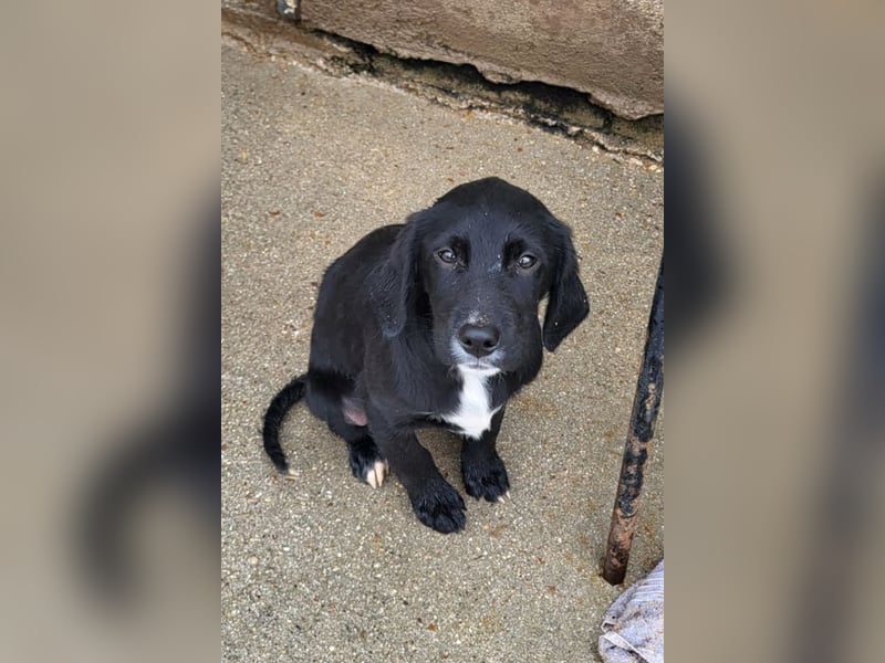 Elino ❤️ freundlicher, offener junger Bub