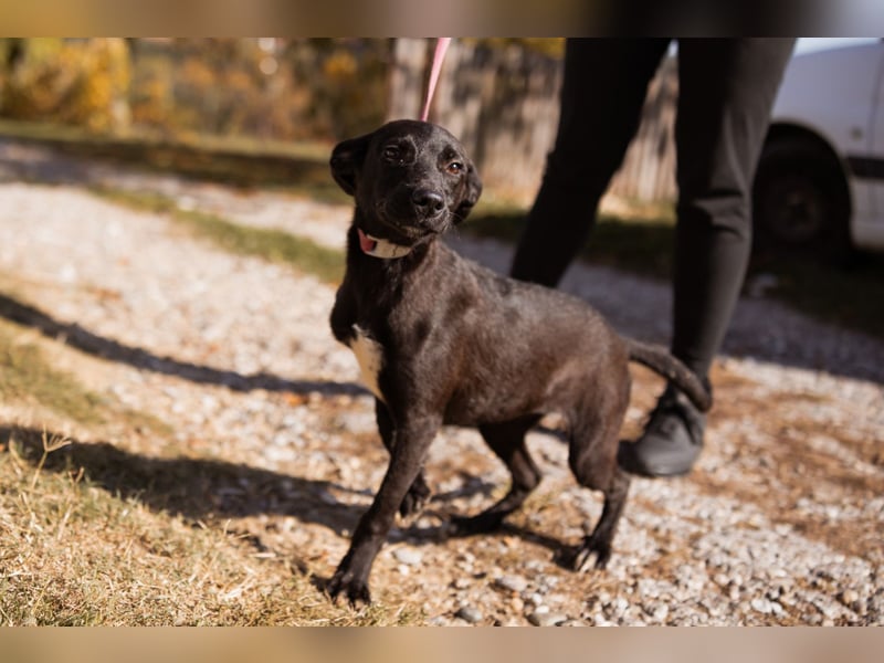 Paula ❤️ liebe, aktive, junge Zuckermaus!