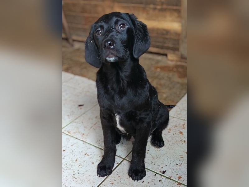 Haru ❤️ so lieber, aufgeschlossener Bub!