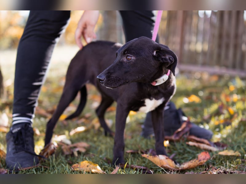 Paula ❤️ liebe, aktive, junge Zuckermaus!