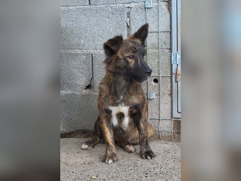 JULE❤️sanft, liebevoll und voller Zuneigung & Liebe