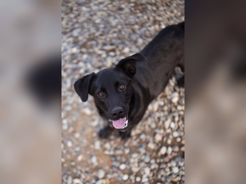 Ivan ❤️ super lieber, so verspielter Bub