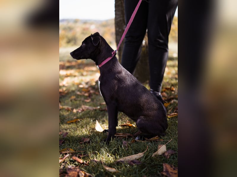 Paula ❤️ liebe, aktive, junge Zuckermaus!