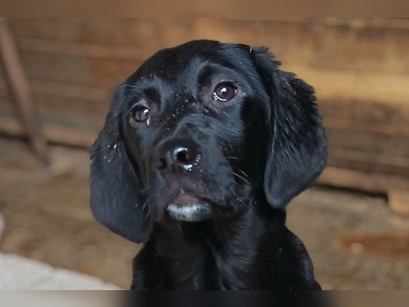 Haru ❤️ so lieber, aufgeschlossener Bub!