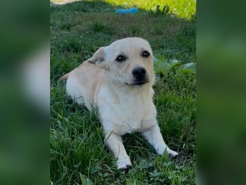 Mira ❤️ fröhlicher, lieber Sonnenschein!