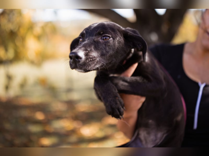 Paula ❤️ liebe, aktive, junge Zuckermaus!