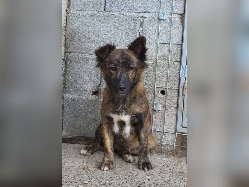 JULE❤️sanft, liebevoll und voller Zuneigung & Liebe