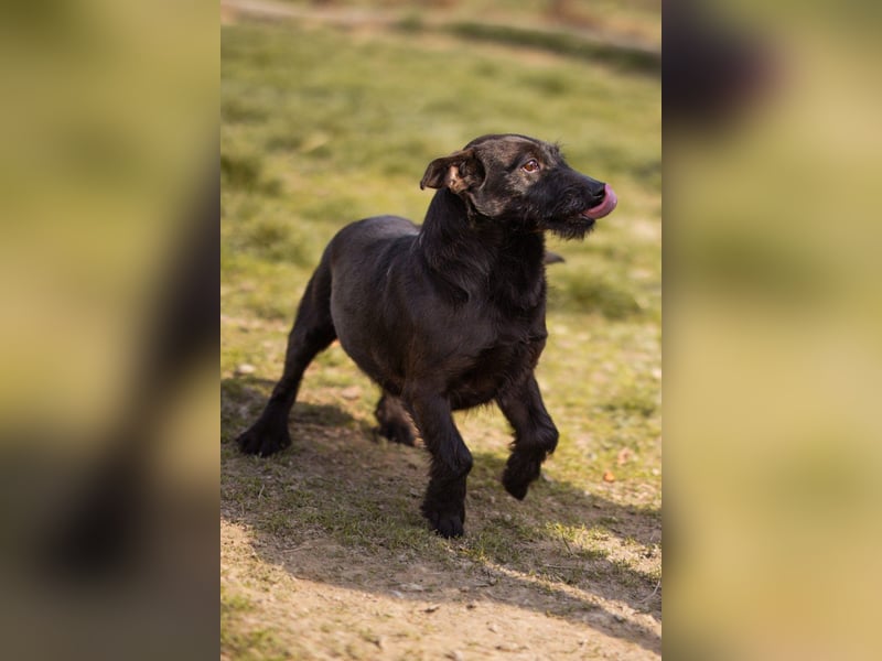 Fröhliche, kleine Greta zart, aber aktiv