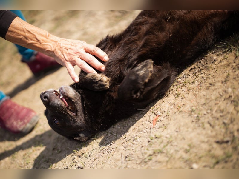Süßer ♥Pili Mili♥ kleiner Tempo-Lausbub