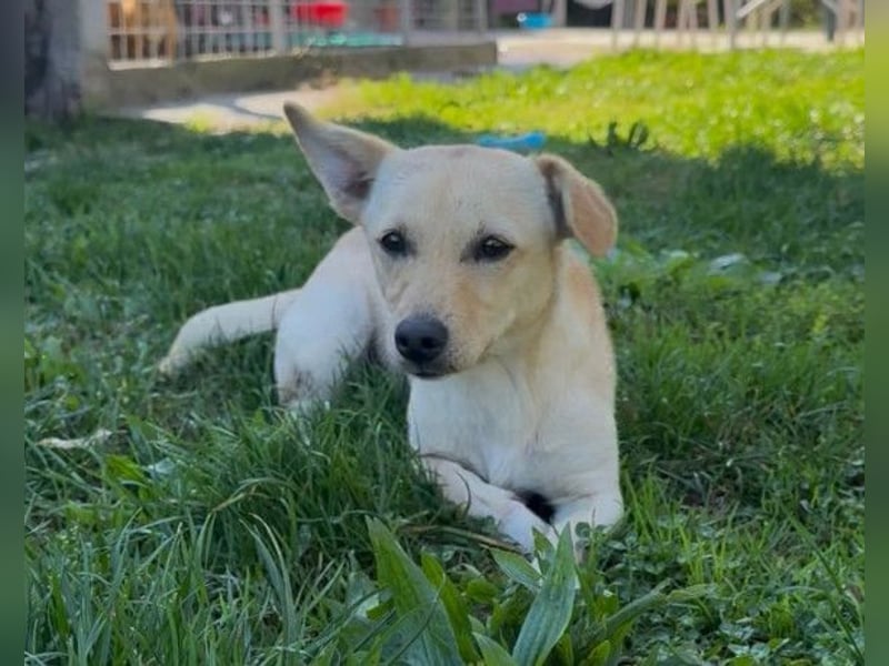 Mira ❤️ fröhlicher, lieber Sonnenschein! Mira ❤️ fröhlicher, lieber Sonnenschein!