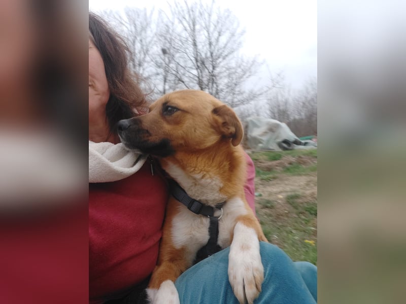 Jungspund Dylan sucht sein Glück - wer zeigt ihm die Welt