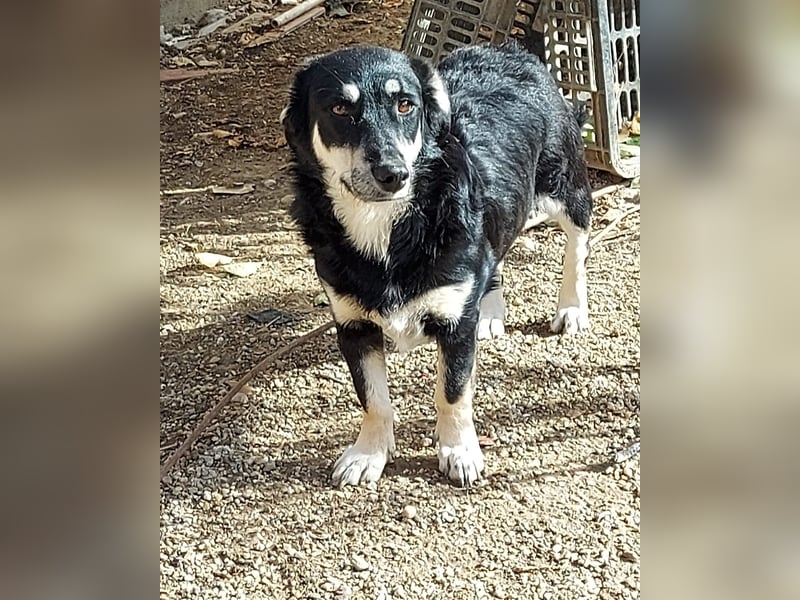 Daiana- kleiner Sonnenschein mit riesengrossem Herz