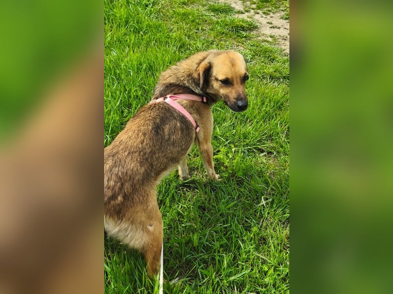 Chanel - von der Müllhalde in den Luxus - noch in Rumänien