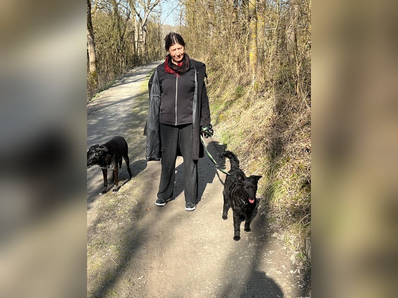 Linda - zartes Herz auf der Suche nach Geborgenheit