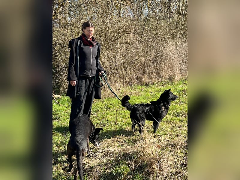 Linda - zartes Herz auf der Suche nach Geborgenheit