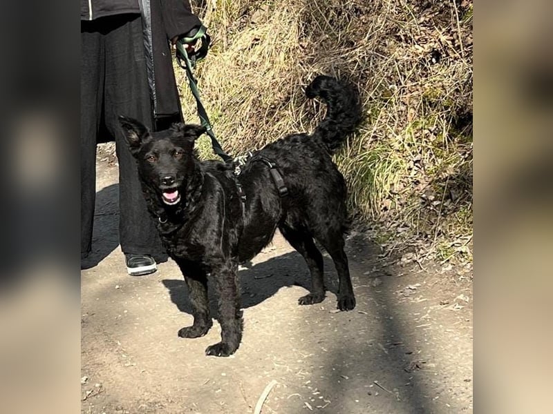 Linda - zartes Herz auf der Suche nach Geborgenheit