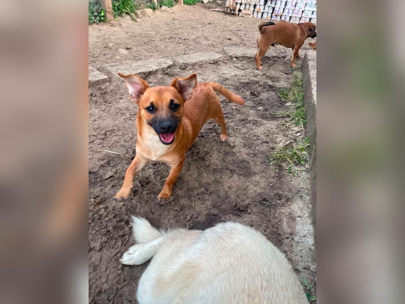 Ronny ist nicht nachtragend - sucht nette Menschen - aktuell in Rumänien