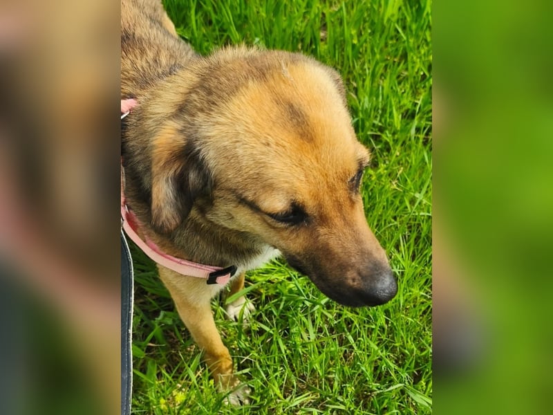 Chanel - von der Müllhalde in den Luxus - noch in Rumänien