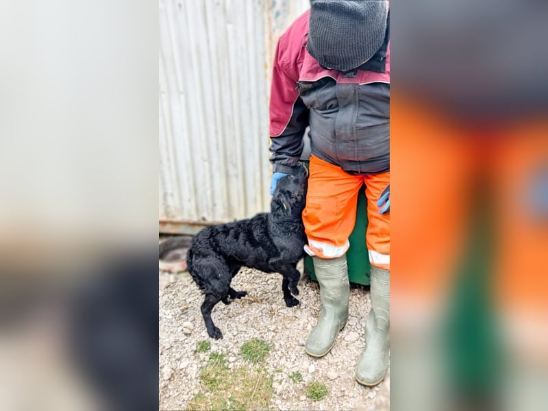 Linda - zartes Herz auf der Suche nach Geborgenheit