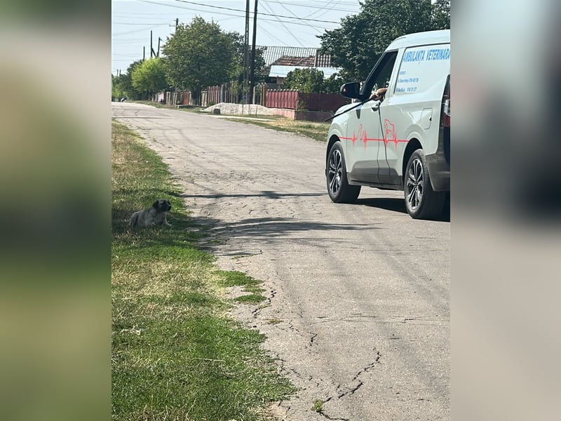 Cosy hatte kein einfaches Leben