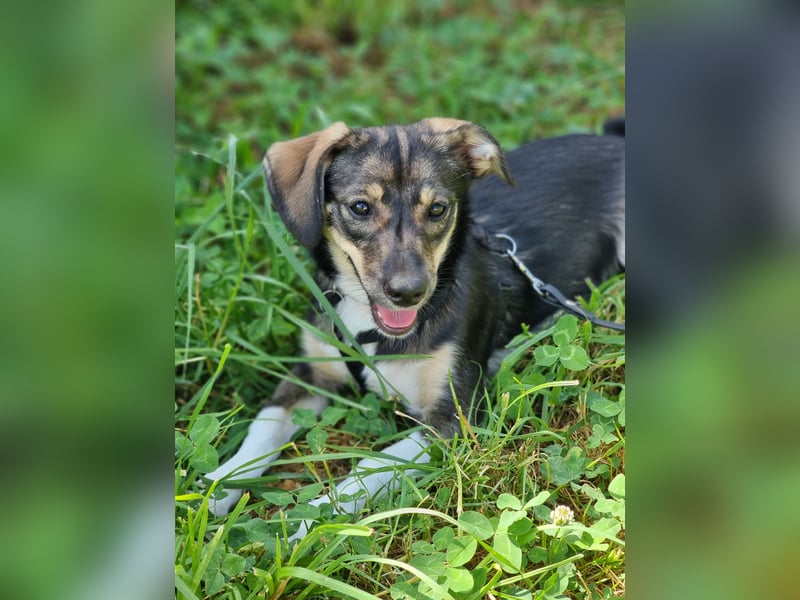 Kleine Ulla sucht Geborgenheit