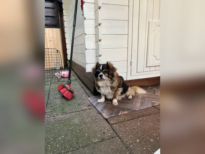 Seniorin Norica ist ein echter Schatz
