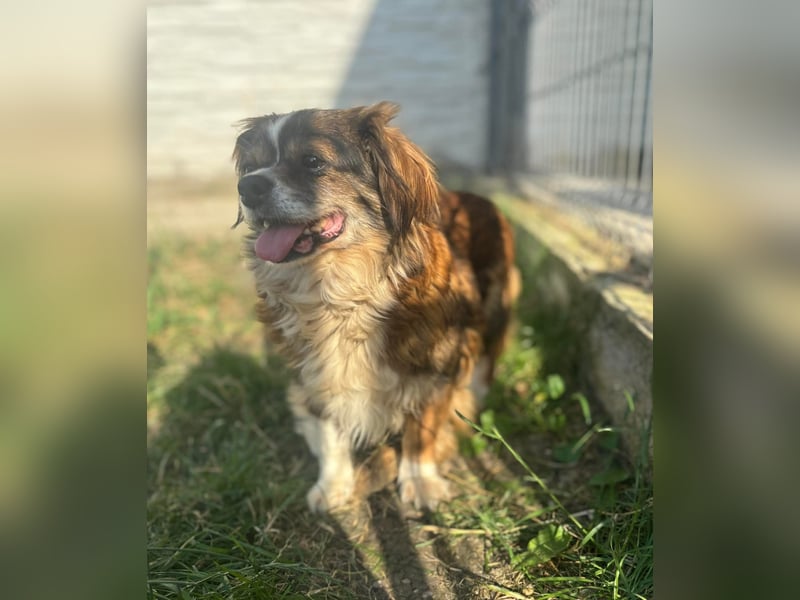 Seniorin Norica ist ein echter Schatz