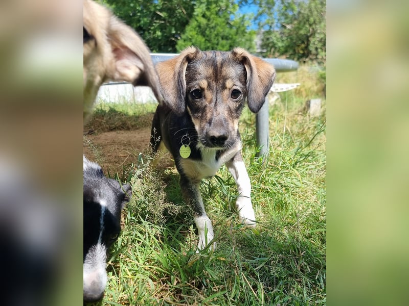 Kleine Ulla sucht Geborgenheit