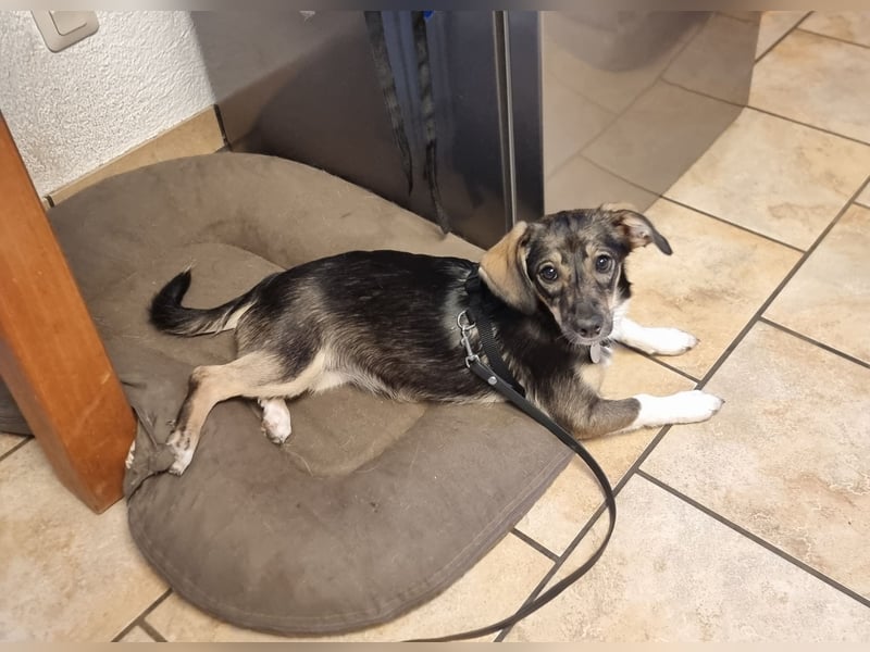 Kleine Ulla sucht Geborgenheit