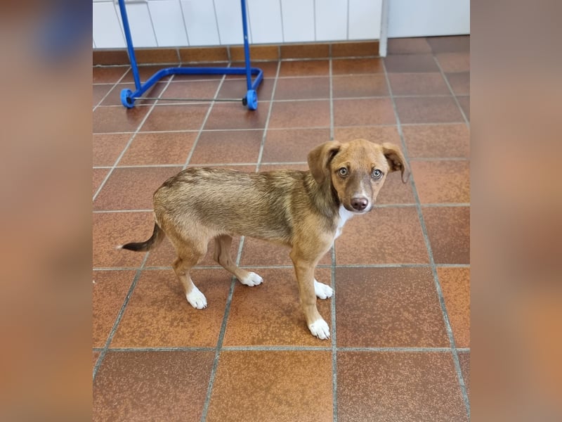 Terry, lieber Kerl sucht Familie