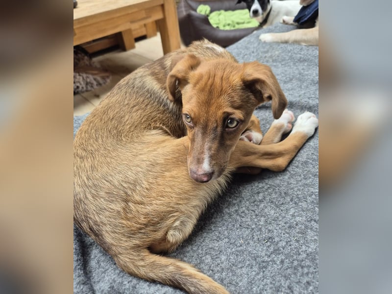 Terry, lieber Kerl sucht Familie