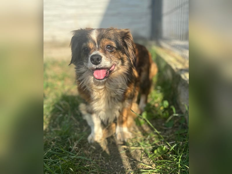 Seniorin Norica ist ein echter Schatz